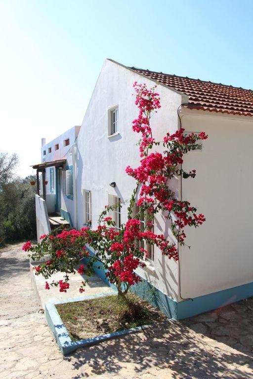 Casa Do Avo Teixeira Villa Sesimbra Ngoại thất bức ảnh