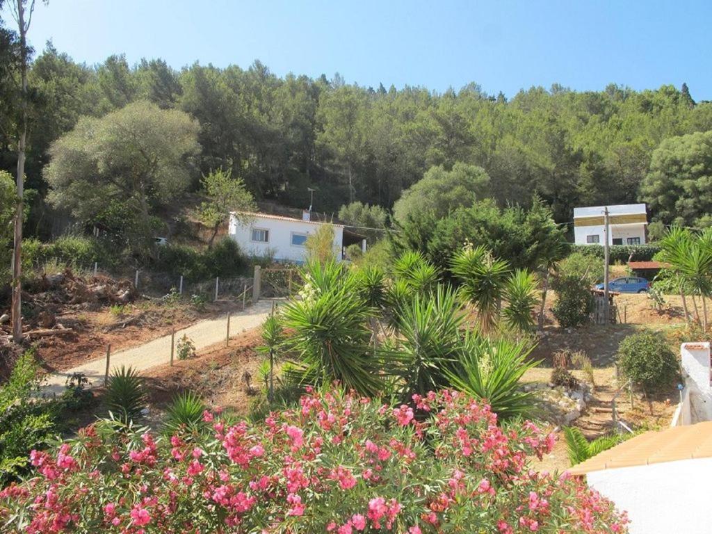 Casa Do Avo Teixeira Villa Sesimbra Ngoại thất bức ảnh