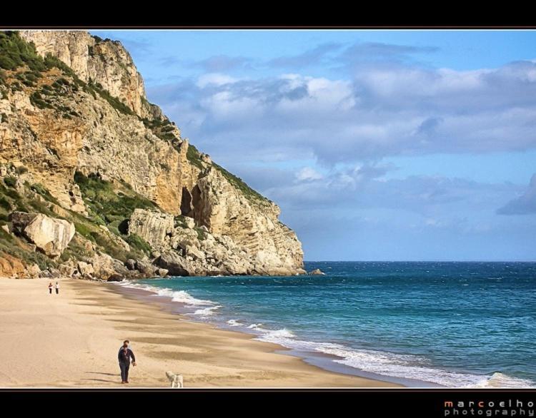 Casa Do Avo Teixeira Villa Sesimbra Ngoại thất bức ảnh